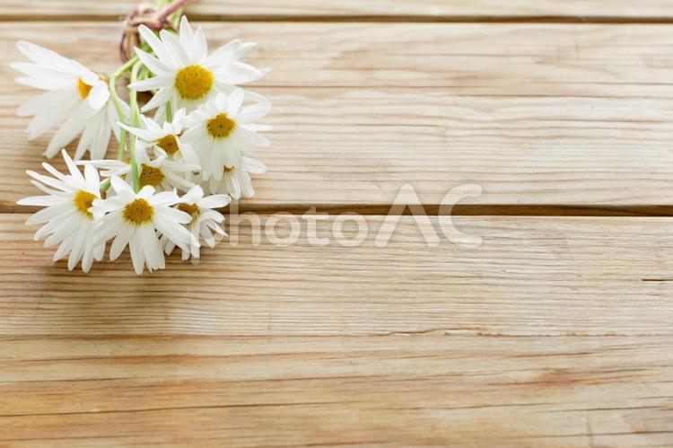 古い木のテーブルの上の白い花 白い花,花,春の写真素材