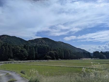 津野神社近くの景色 津野神社近くの景色の写真