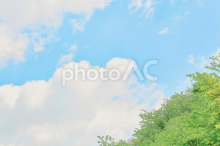 爽やかな青空と白い雲と緑 空,青空,空背景の写真素材