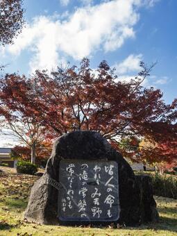 紅葉に映える万葉歌碑の秋景色 万葉文化館,万葉歌碑,歌碑の写真素材