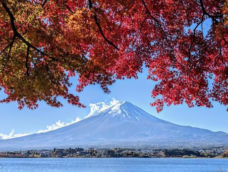 河口湖の紅葉と富士山 富士山,秋,紅葉の写真素材