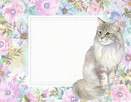 ペルシャ猫と花の飾り枠 ペルシャ猫と花の飾り枠の写真