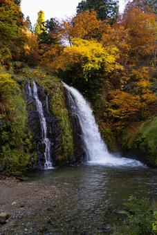 紅葉の滝の写真