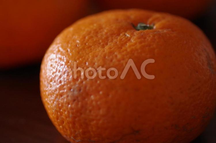 規格外のみかんのアップ みかん,果物,フードロスの写真素材