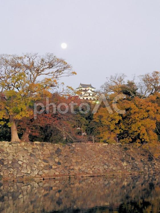 夕暮れの彦根城 天守,マジックアワー,彦根城の写真素材