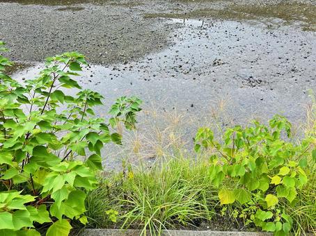 地方の河川敷 地方の河川敷 自然,河川,風景の写真素材