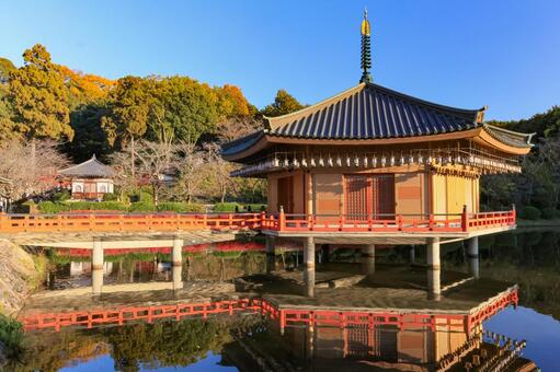 安倍文殊院 安倍文殊院,もみじ,紅葉の写真素材