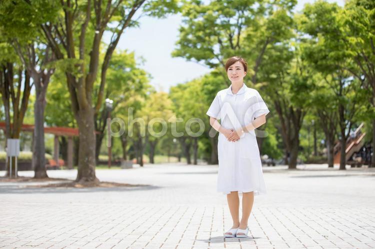 看護師のイメージ 看護師,ナース,医療の写真素材