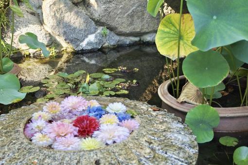花 花の写真