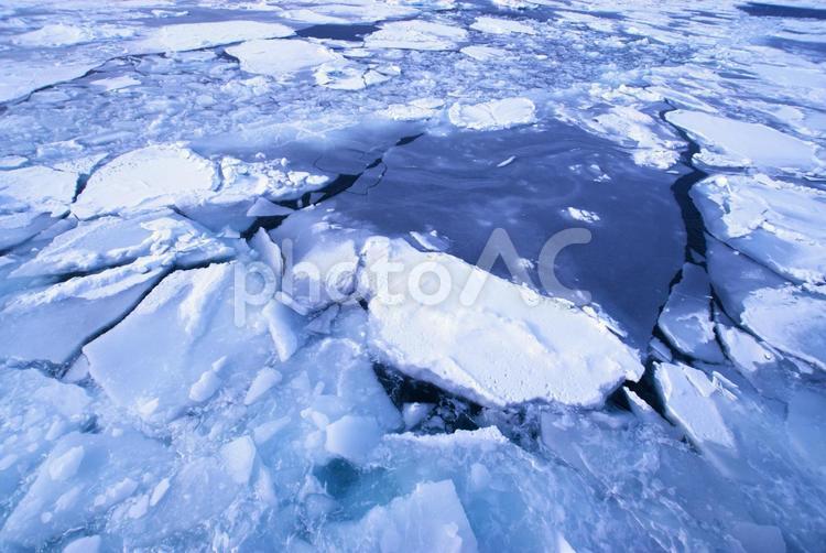 オホーツク海の美しい流氷 オホーツク海,流氷,知床の写真素材
