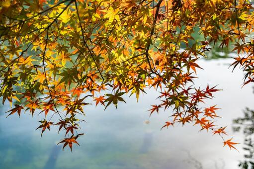 杭州・西湖と紅葉 西湖,杭州,中国の写真素材