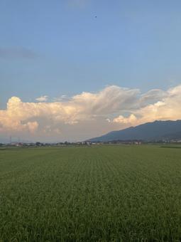 夏の夕暮れ時の東の空(縦) 夏の夕暮れ時の東の空(縦)の写真