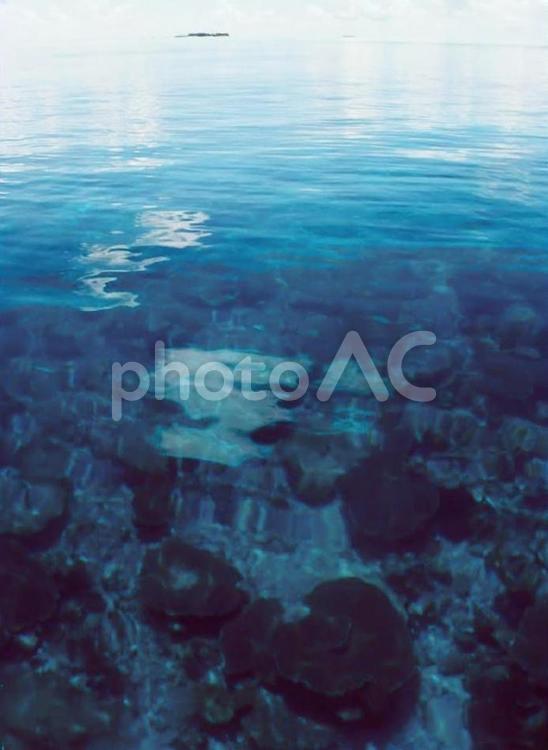 モルディブの透き通る青い海 モルディブ,海,パラダイスの写真素材