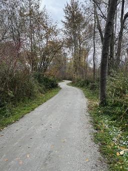 北米の遊歩道の写真