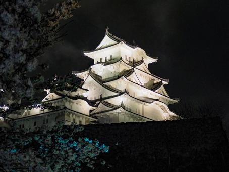 夜の姫路城 夜の姫路城の写真