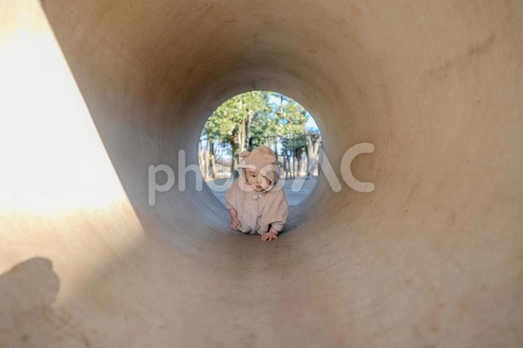 土管の中をハイハイする赤ちゃん 赤ちゃん,土管,トンネルの写真素材