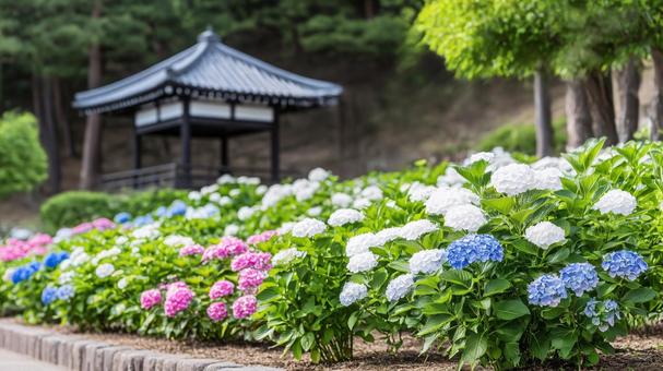 アジサイと和式の建物の写真
