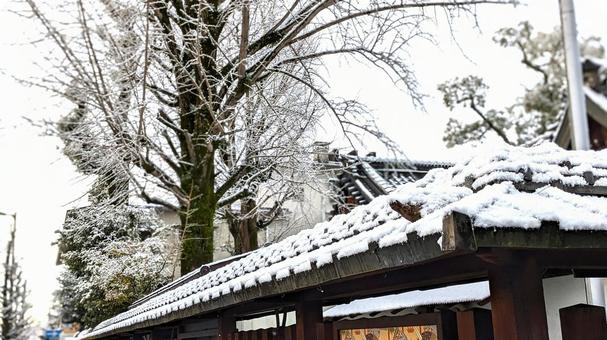 日本の冬景色:雪が積もる瓦屋根 日本の冬景色:雪が積もる瓦屋根 雪,冬,日本の写真素材