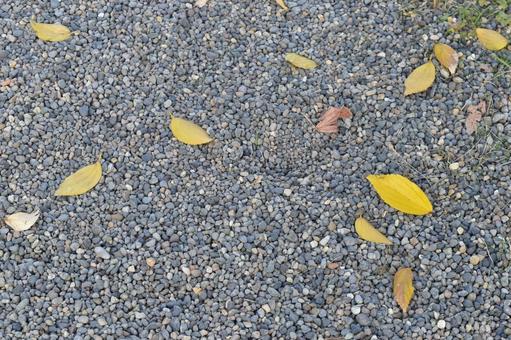 砂利の上の落ち葉 砂利の上の落ち葉 落ち葉,枯れ葉,冬の写真素材