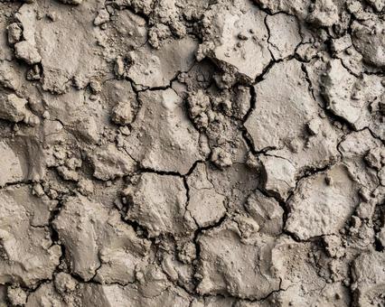 ひび割れる地面 ひび割れる地面の写真