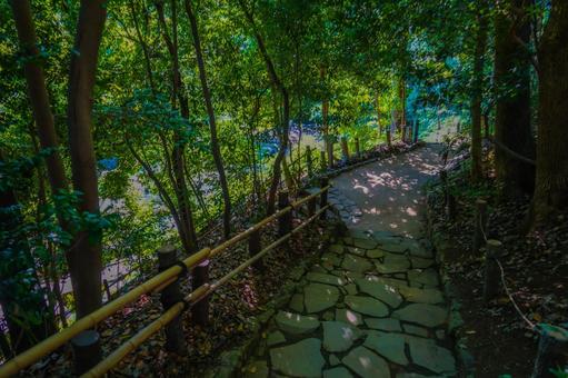 哲学堂（東京都中野区） 哲学堂公園,哲学堂,四聖堂の写真素材