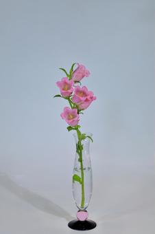 一輪挿しに挿した風鈴草 一輪挿しに挿した風鈴草 風鈴草,フウリンソウ,カンパニュラの写真素材