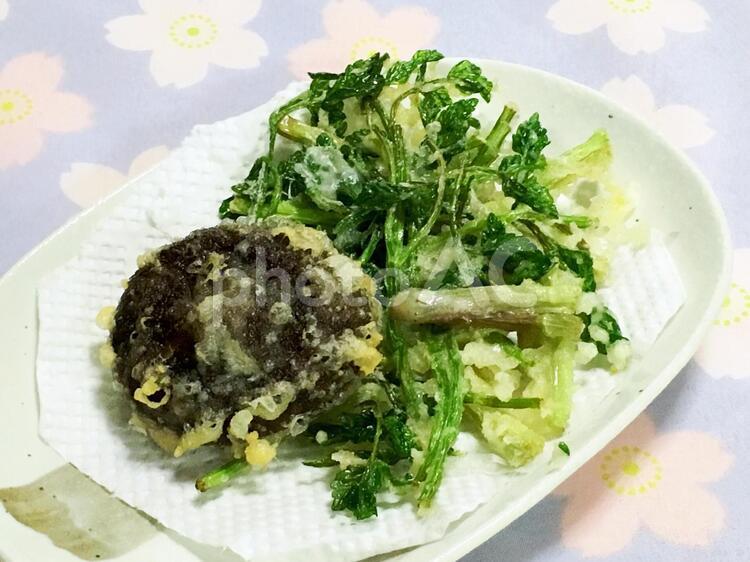 芹と椎茸の天ぷら 天麩羅,和食,総菜の写真素材