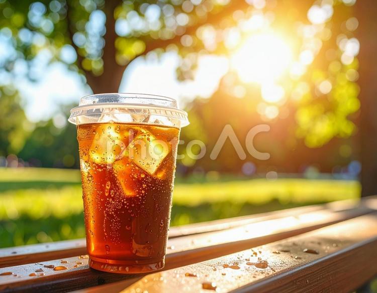 公園のベンチに置かれたアイスコーヒー アイスコーヒー,テイクアウト,ベンチの写真素材