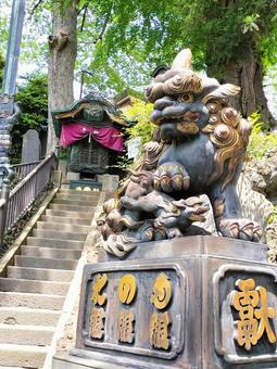 成田山新勝寺 毀れ不動堂前の狛犬 成田山新勝寺 毀れ不動堂前の狛犬 成田山,新勝寺,毀れ不動堂の写真素材