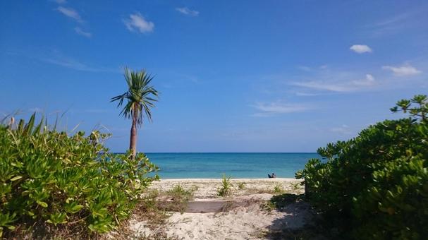 沖縄の海 沖縄の海 海,ビーチ,青空の写真素材