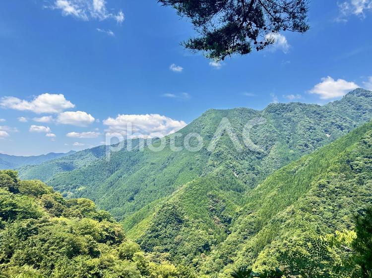 日本の秘境　十津川村 十津川村,自然,森林の写真素材