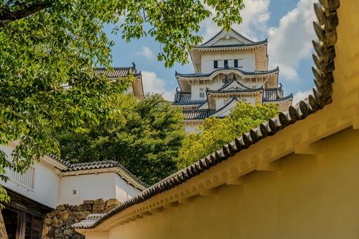 白壁越しに見える姫路城と夏の緑の風景 白壁越しに見える姫路城と夏の緑の風景 姫路城,白鷺城,日本の城の写真素材