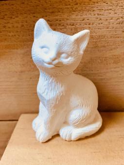 可愛い猫ちゃん 可愛い猫ちゃんの写真