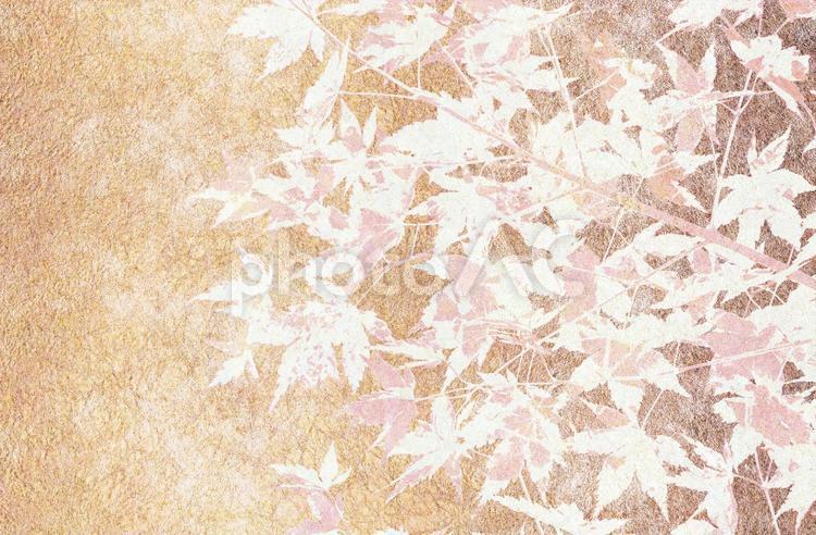 金色の和紙に白色の紅葉の背景画像 和風,背景,秋の写真素材