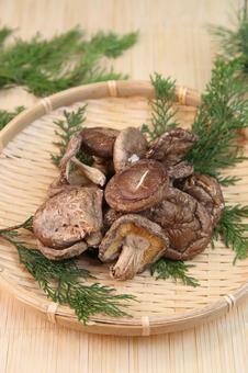 干し椎茸 干し椎茸 椎茸,干し椎茸,乾物の写真素材