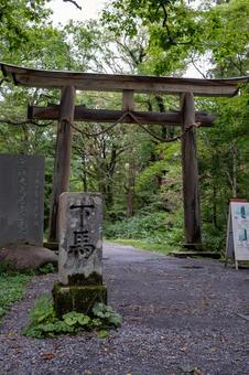 戸隠神社　奥社　参道の風景 戸隠神社,奥社,参道の写真素材