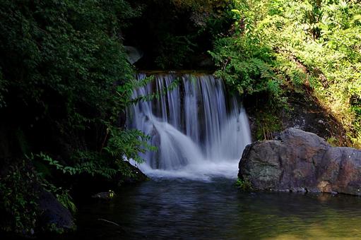 森の中の小滝 森の中の小滝 小滝,落水,滝の写真素材