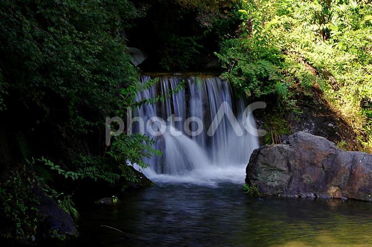 森の中の小滝 小滝,落水,滝の写真素材
