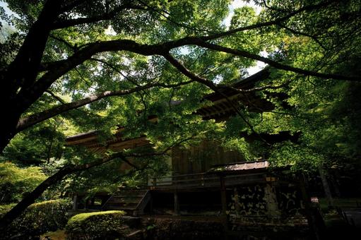 フィルムカメラ風の神社の写真 フィルムカメラ風の神社の写真 大原三千院,日本庭園,フィルムカメラ風の写真素材
