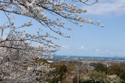 高塔山公園 高塔山公園の写真