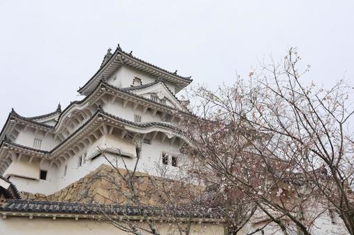 姫路城 姫路城 姫路城,石垣,背景の写真素材
