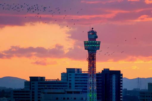 夕暮れのマリンタワー マリンタワー,横浜港,夕柄の写真素材