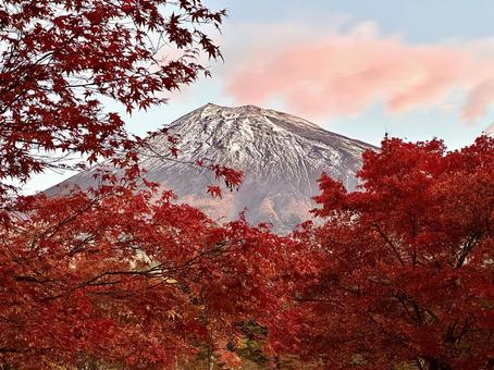 紅葉と富士山 富士山,紅葉,もみじの写真素材