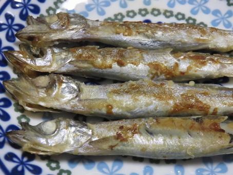 ししゃも ししゃも キャペリン,樺太ししゃも,魚の写真素材