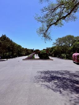 北陵公園ー昭陵間の遠い道のり 北陵公園,中国,海外の写真素材
