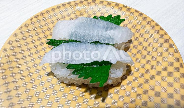 回転寿司のえんがわ 寿司,回転寿司,刺し身の写真素材