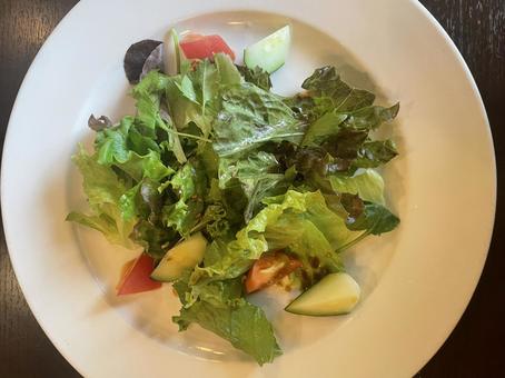 彩りサラダ 彩りサラダ サラダ,野菜,ランチの写真素材