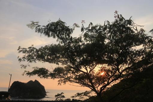西伊豆町の綺麗な夕陽 西伊豆町の綺麗な夕陽 綺麗良な夕陽,夕陽,西伊豆町の写真素材