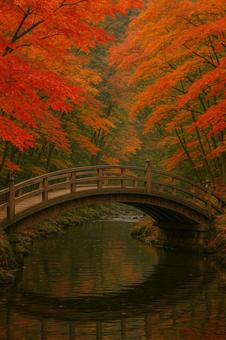 紅葉と橋 紅葉と橋の写真
