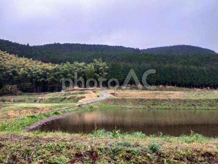 山と水田の小道 山,水田,田んぼの写真素材